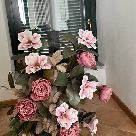 Lägenhet Il Glicine