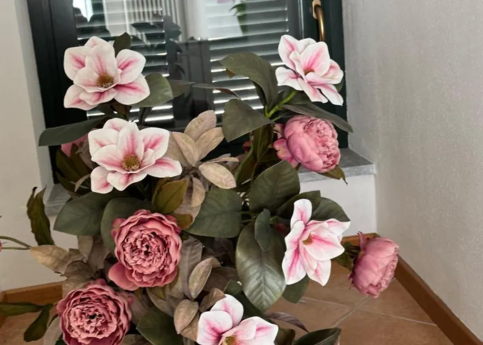 아파트 Il Glicine