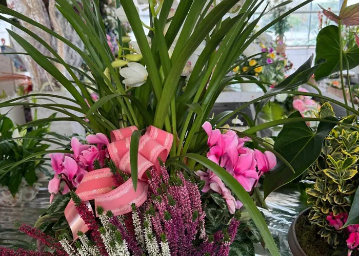 아파트 Il Glicine Antignano (Piedmont)